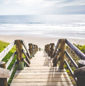 Meet your Posher, Owen